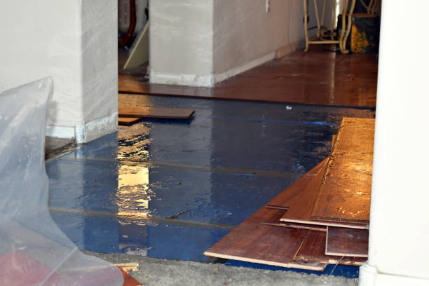 Professional Flood Damage Repair technician working in The Plains, OH